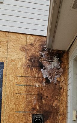 Water-rotted sheathing exposed behind removed siding